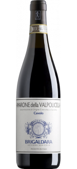 Amarone Della Valpolicella Cavolo 2020 - Brigaldara