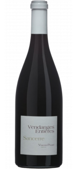 Vendanges Entières 2023 - Vincent Pinard