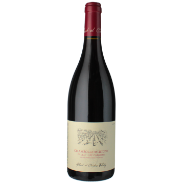 CHAMBOLLE MUSIGNY 1ER CRU LES CARRIERES 2023 - DOMINIO FELETTIG
