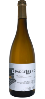 Meursault Blanc 2024 - Parcelles & Cie - Nuiton - Beaunoy