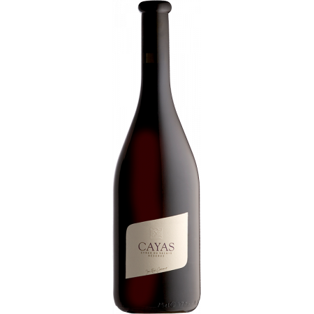 Cayas Syrah Réserve 2020 - Dominio Jean-René Germanier Cayas Syrah Réserve 2020 - Dominio Jean-René Germanier