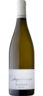 Ampelomeryx Blanc 2024 - Pellehaut