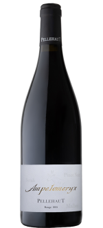 Ampelomeryx Rouge 2024 - Pellehaut