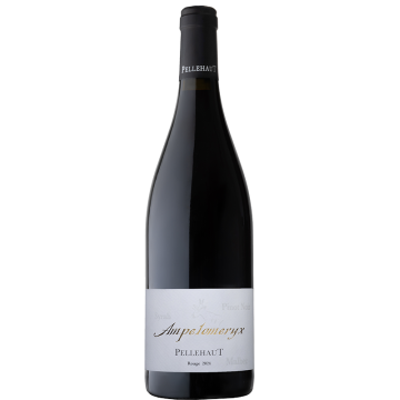 Ampelomeryx Rouge 2024 - Pellehaut - Vin de France - Vino Tinto - 0.75L