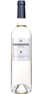 Dominio Casanova Blanc