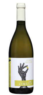 Pinot Grigio 2024 - Vigna Lenuzza