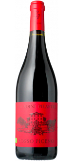 Rosso Piceno 2024 - Saladini Pilastri