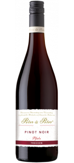 Pinot Noir Pfalz 2023 - Peter & Peter