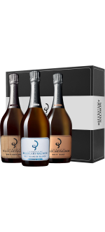 Comprar CHAMPAGNE BILLECART-SALMON al mejor precio en Vinatis.es!