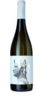 Favugn&euml; Falanghina Bianco 2025 - Cantine Teanum