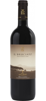 Il Bruciato 2022 - Tenuta Guado Al Tasso