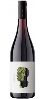 Otre Aglianico 2022 - Cantine Teanum