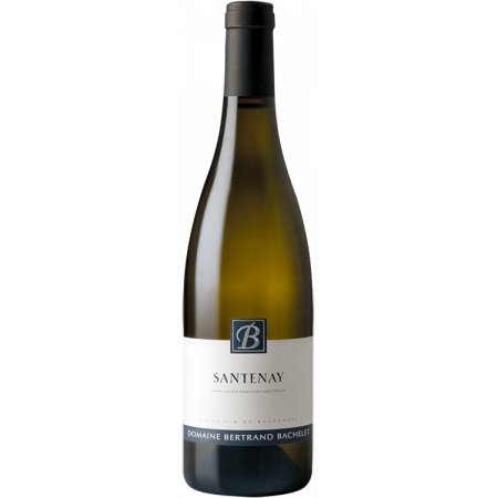 Santenay Blanc 2024 - Dominio Bertrand Bachelet Santenay Blanc 2024 - Dominio Bertrand Bachelet