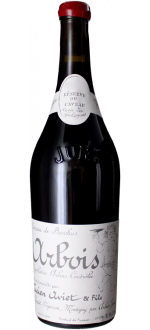 Trousseau Ruzard 2023 - Caveau De Bacchus