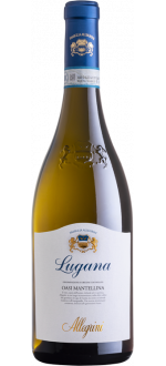 Lugana Oasi Mantellina 2025 - Allegrini