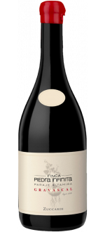 Finca Piedra Infinita Gravascal 2020 - Familia Zuccardi