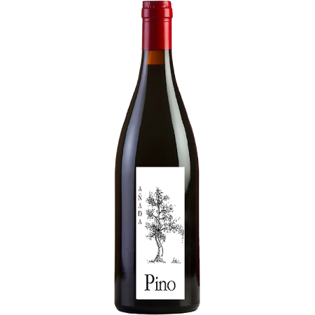Pino 2024 - Ponce Pino 2024 - Ponce
