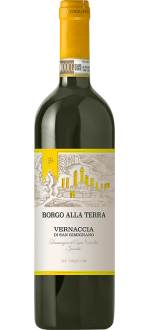 Vernaccia Di San Gimignano - Borgo Alla Terra 2025 - Geografico