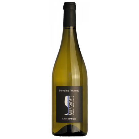 Muscadet Sèvre et Maine Sur Lie - L' Authentique 2025 - Dominio Petiteau Muscadet Sèvre et Maine Sur Lie - L' Authentique 2025 - Dominio Petiteau