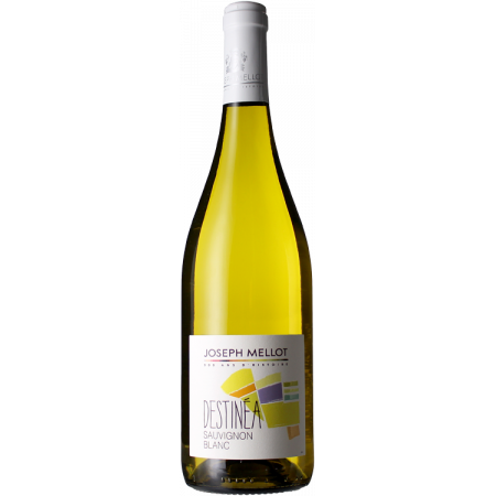 Sauvignon Blanc - Destinea 2025 - Joseph Mellot Sauvignon Blanc - Destinea 2025 - Joseph Mellot