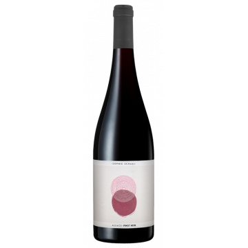 Pinot Noir 2025 - Sophie Schaal - Alsacia Pinot Noir - Vino Tinto - 0.75L
