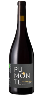 Pumonte Rouge 2022 - Domaine Alzipratu