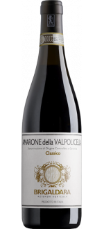 Amarone Della Valpolicella Classico 2019 - Brigaldara