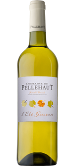 L'\u00c9t\u00e9 Gascon Blanc 2025 - Dominio Pellehaut