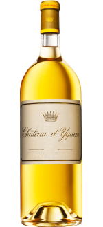 Magnum - Château D'Yquem 2023 - 1er Cru Classé Supérieur