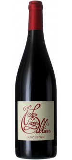 Autour Du Cinsault 2025 - Les Vignes Oubli\u00e9es