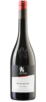Pinot Nero 2024 - Cantina Kaltern