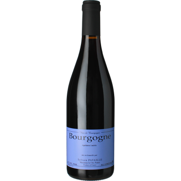 Borgoña Rouge 2023 - Domaine Sylvain Pataille - Borgoña - Vino Tinto - 0.75L