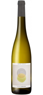 Riesling 2025 - Sophie Schaal