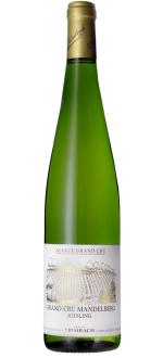 Riesling Grand Cru Mandelberg 2022 - Dominio Trimbach