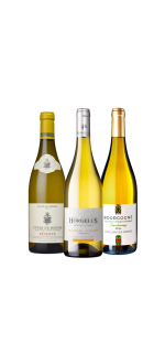 Pack 3 Botellas - Blancos - Mini Precios