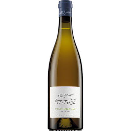 Sauvignon Blanc - Attitude 2025 - Pascal Jolivet Sauvignon Blanc - Attitude 2025 - Pascal Jolivet