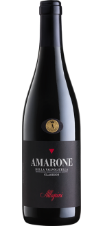 Amarone Della Valpolicella Classico 2021 - Allegrini