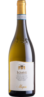 Soave Oasi San Giacomo 2025 - Allegrini