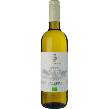 Falerio 2025 - Saladini Pilastri - Falerio - Vino Blanco - 0.75L