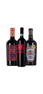 Pack 3 Botellas - Botter