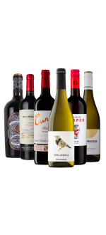 Pack Top Ventas - Vinos Internacionales