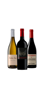 Pack 3 Botellas - Top Ventas Jeff Carrel