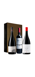 Estuche 3 Botellas - 90+/100 Parker 100% Languedoc