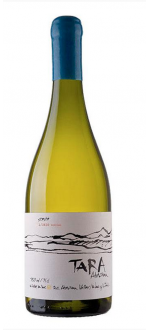 White Wine N\u00b03 - Sauvignon Blanc 2022 - Tara