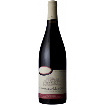 CHAMBOLLE MUSIGNY 2022 - DOMINIO ROBLOT MARCHAND & FILS