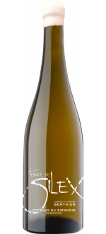 Terre De Silex 2023 - Cl\u00e9ment & Florian Berthier