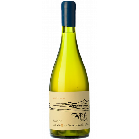 White Wine N°1 - Chardonnay 2022 - Tara White Wine N°1 - Chardonnay 2022 - Tara
