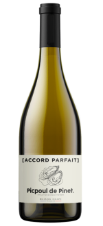 Accord Parfait - Picpoul De Pinet 2024 - Maison Chape