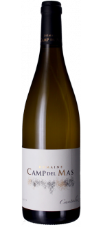 Cantaluz Blanc 2022 - Camp Del Mas