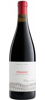 Pizarra 2022 - Pegaso - Telmo Rodr\u00edguez